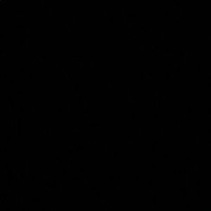 Meet your Posher, Joyce